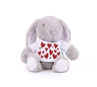 Purely Home Love Hearts Valentines Teddy - Plush Teddy with T-Shirt