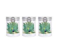 Purely Home Majestic Peacock Tea Coffee Sugar Canister Set Of 3 - Exotic Feathered Bird - Vibrant Metal Clip Lid Storage Jars 700Ml