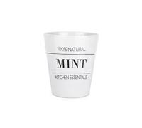 Purely Home Minimalist Mint Plant Pot - Small Ceramic Indoor Plant Pot Gift