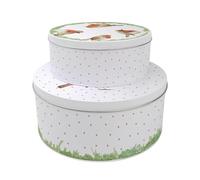 Purely Home Robins Set of 2 Cake Tins Gift - British Garden Birds Nesting Round Large & Medium Metal Storage Containers for Baking