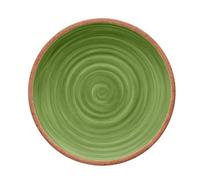 Purely Home Rustic Swirl Green Melamine Dinner Plate