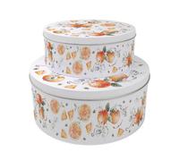 Purely Home Tangerines Set Of 2 Cake Tins Gift - Fruity Nesting Round Large & Medium Metal Storage Containers For Cakes And Baking
