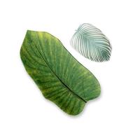 Purely Home Tropical Floral 2 Piece Melamine Leaf Green Platter & Small Leaf Platter Set