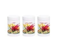 Purely Home Welsh Dragon & Daffodils Tea, Coffee And Sugar - Te, Coffi, Siwgr Wales Souvenir Home Gift - Screw Lid Storage Containers 750Ml