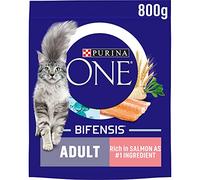 PURINA ONE Salmon Dry Cat Food 800g