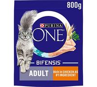 PURINA ONE Chicken Dry Cat Food - 800g