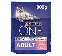 PURINA ONE Salmon Dry Cat Food - 800g