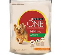 PURINA ONE Mini Active Croquettes for Adult Dogs with Chicken and Rice 800 g Bag