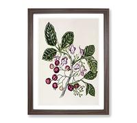 Puriri Vitex Lucens Flowers By Sarah Featon Vintage Framed Print | A3 Walnut Framed Wall Art | Ready to Hang | Classic Floral Picture | Living Room Bedroom Lounge Office
