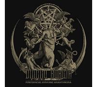Puritanical Euphoric Misanthropia - Japanese Pressing