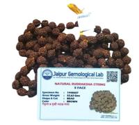 Purity Certified Hindu Premium Rudraksha Bead Jaap Mala | JGL Certified | 5 Mukhi Rudraksha 108 Beads | Brown|Certified Certificate with Jaap Maala.