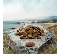 Purizon Original Large Puppy Chicken with Fish - Grain-Free - Economy Pack: 2 x 12kg