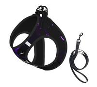 Purple Black Goth Spooky printing Dog Harness with Leash Set, Step-in Breathable Puppy Cat Dog Vest, No Pull Adjustable Puppy Harness