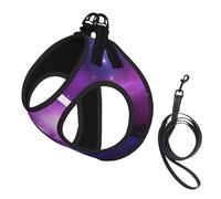 Purple&Blue Galaxy Print Dog Harness Vest for Small Pets L