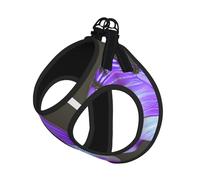 Purple Butterflies Printing Dog Summer Harness With Leash Set,Adjustable And Reflective Step-In Puppy Pet Vest Harnesses