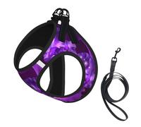 Purple Butterfly Print Dog Harness Small Sized And Leash Set, Step In Soft Light Puppy Vest Breathable Mesh Pet Harness