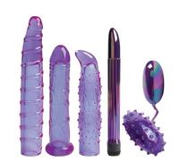 Purple Carnal Collection Pencil Vibrator Jelly Sleeve Egg Bullet Set Orgasm Kit