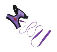 Purple Chicken and Leash Set with Adjustable Buckles