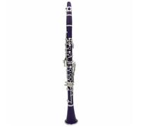 Purple Clarinet 17 Key Flat B ABS Silver Key Instrument(1)