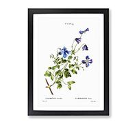Purple Clematis Flowers By Pierre Joseph Redoute Vintage Framed Wall Art Print, Ready to Hang Picture for Living Room Bedroom Home Office Décor, Black A3 (34 x 46 cm)