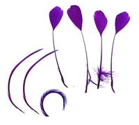 Purple Coque Style and Biot Feathers Mixed Pack x 8 - Millinery hat, fascinator, wedding decoration - long feathers