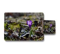 purple crocus flowers colchicum in a green grass meadow close up spring or autumn flower bloom in nature placemat coaster set Benjamin Tate Design Natural One Size