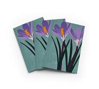 Purple Crocus Flowers Greeting Card Simple Floral Any Occasion Set of 3 Blank Inside 5x7 Inch 13x18 cm