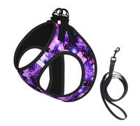 Purple Cute Butterfly Print Pet Leash Vest For Small Dogs Cats Reflective Adjustable Soft Outdoor Walking Hiking Training