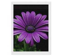 Purple Daisy Diamond Art Kits for Adults 12"x16" DIY Diamond Painting Kit for Beginners Gem Art Painting with Round Full Drill Diamonds DIY Paint Paintings for Home Wall Decor Gift