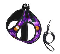 Purple Daisy print Dog Harness and Leash Set, Reflective Adjustable Puppy Vest for Small Medium Large Dogs, Cats