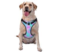 Purple Dragon Scales Pattern Dog Harness - Lightweight,Soft,Adjustable Small Harness and Leash Set, Suitable for Puppy Small and Medium-Sized Dog-Medium