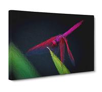 Purple Dragonfly Canvas Print | Gallery Wrapped 30mm Frame Wall Art | 20x14 inches | Ready to Hang | Modern Animals Picture | Living Room Bedroom Lounge Office