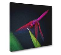 Purple Dragonfly Canvas Print | Gallery Wrapped 30mm Frame Wall Art | 20x20 inches | Ready to Hang | Modern Animals Picture | Living Room Bedroom Lounge Office