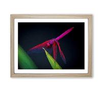 Purple Dragonfly Modern Art Framed Print | A2 Oak Framed Wall Art | Ready to Hang | Modern Animal Picture | Living Room Bedroom Lounge Office