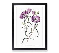 Purple Evening Primrose Flowers Framed Print | A2 Black Framed Wall Art | Ready to Hang | Modern Floral Picture | Living Room Bedroom Lounge Office