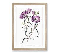 Purple Evening Primrose Flowers Framed Print | A2 Oak Framed Wall Art | Ready to Hang | Modern Floral Picture | Living Room Bedroom Lounge Office
