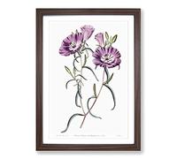 Purple Evening Primrose Flowers Framed Print | A2 Walnut Framed Wall Art | Ready to Hang | Modern Floral Picture | Living Room Bedroom Lounge Office