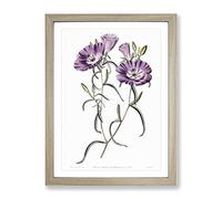 Purple Evening Primrose Flowers Vintage Framed Print | A4 Oak Framed Wall Art | Ready to Hang | Classic Floral Picture | Living Room Bedroom Lounge Office