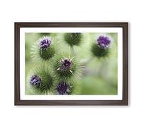 Purple Flower Globe Thistles Framed Print | A2 Walnut Framed Wall Art | Ready to Hang | Modern Map Picture | Living Room Bedroom Lounge Office