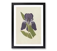 Purple Flower Illustration by Owen Jones Framed Print | A2 Black Framed Wall Art | Ready to Hang | Modern Floral Picture | Living Room Bedroom Lounge Office
