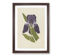 Purple Flower Illustration by Owen Jones Framed Print | A2 Walnut Framed Wall Art | Ready to Hang | Modern Floral Picture | Living Room Bedroom Lounge Office