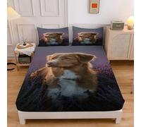 Purple Flowers Single Fitted Sheet Border Collie Microfibre Bedding Sets 3pcs Sheets Deep Pocket 30cm with 2 Pillowcase, Bed Cover (90x190cmx30cm) sd304