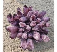 Purple Ghost Phantom Quartz Crystal Cluster Rock Stones and Crystals Home Ornaments (Size : 400-500g)