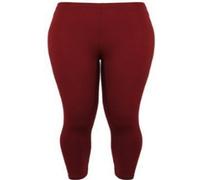 Purple Hanger New Ladies Plus Size Stretch Jersey Leggings Womens Plain Elasticated Trousers Long Pants (8-10, Burgundy)