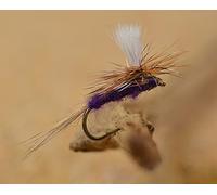 Purple Haze Dry Flies - Pack of 12 - Tied on Mustad Signature Fly Fishing Hooks (Hook #16)
