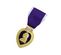 Purple Heart Medal - Honor and Respect for the Brave by enlivik