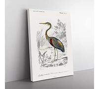 Purple Heron By Charles D' Orbigny Vintage Canvas Wall Art Print Ready to Hang, Framed Picture for Living Room Bedroom Home Office Décor, 76x50 cm (30x20 Inch)