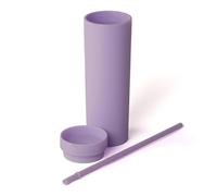 Purple-Hydrate Double Wall Bottle with Straw 480ml -