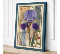 Purple Iris Study Botanical Canvas Wall Art Print 36x24 Inch (91 x 61 cm)