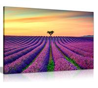 Purple Lavender Field With Orange Sunset Canvas Wall Art Picture Print (12X8)
